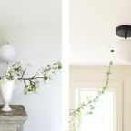 Gallery_Solo_Signal_SITU_2